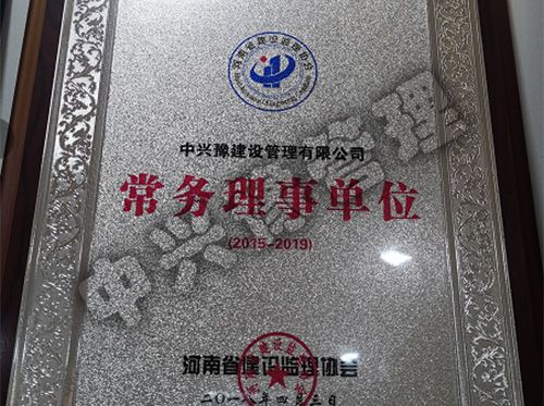 河南省建設監(jiān)理協會常務理事單位